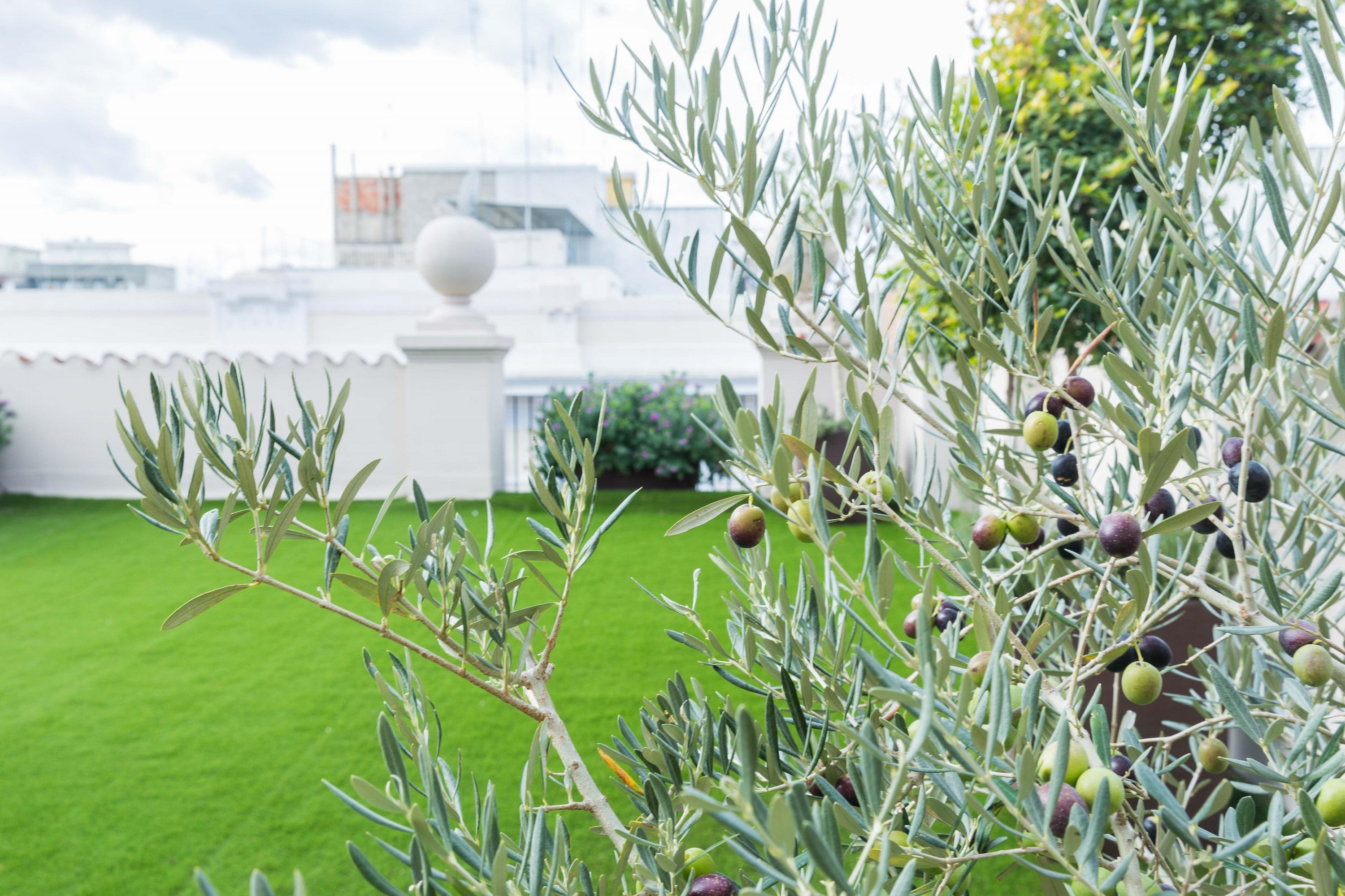 Couette-café 200 & Terrace 3*